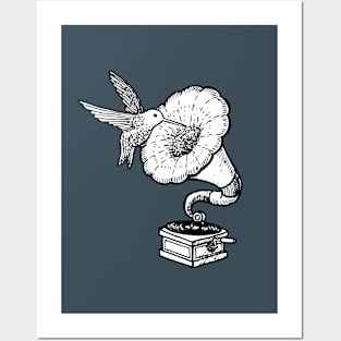 Hummingbird and music Posters and Art